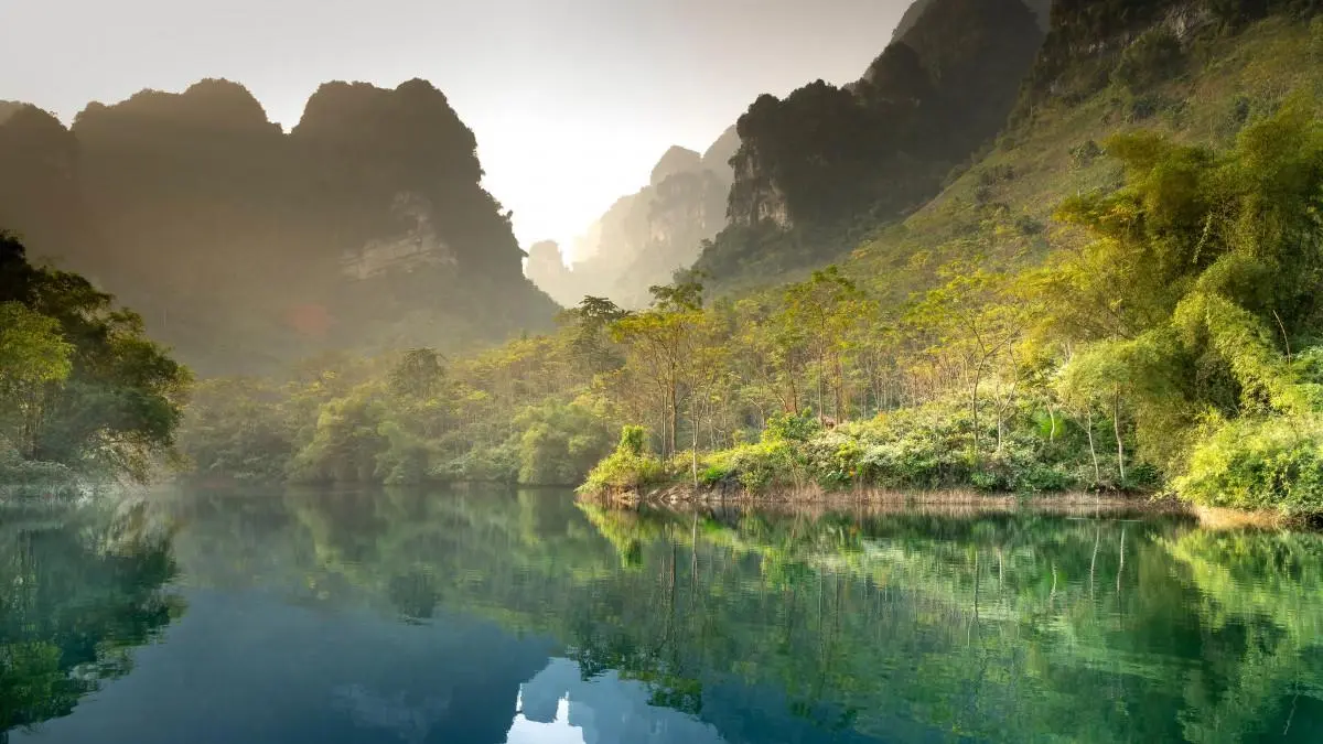 高效高质量高效
